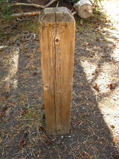 Sayles Canyon trail junction sign post view 1