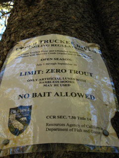 Showers Lake Fishing sign: no fish'n