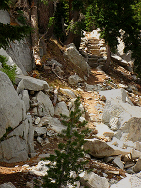 Trail leading to rock stair