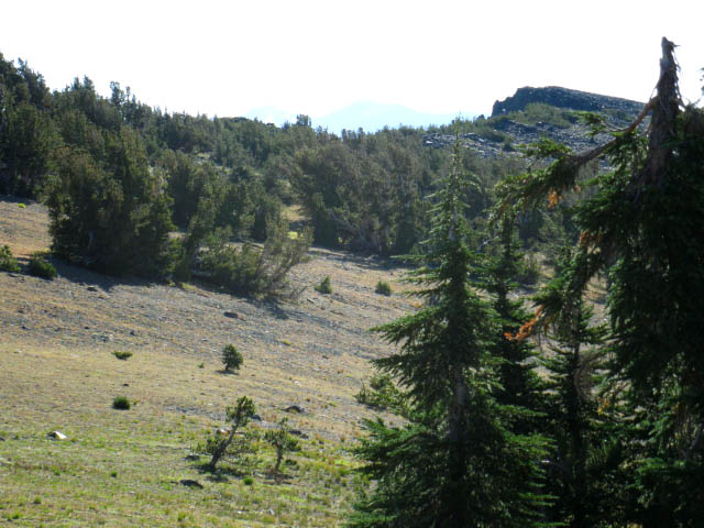 South side of Dicks Pass reveals bluff to Southeast.