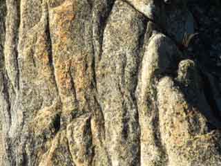 Rock Texture, Echo Lake, Pacific Crest Trail, detail