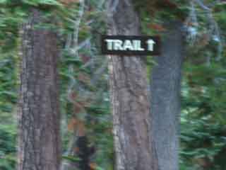 This way to the Southbound Pacific Crest Trail Head