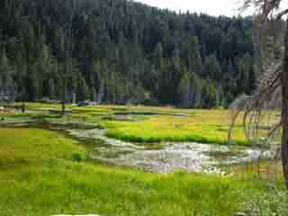 Meadow above Stony Ridge Lake, Lake Tahoe, Desolation Wilderness