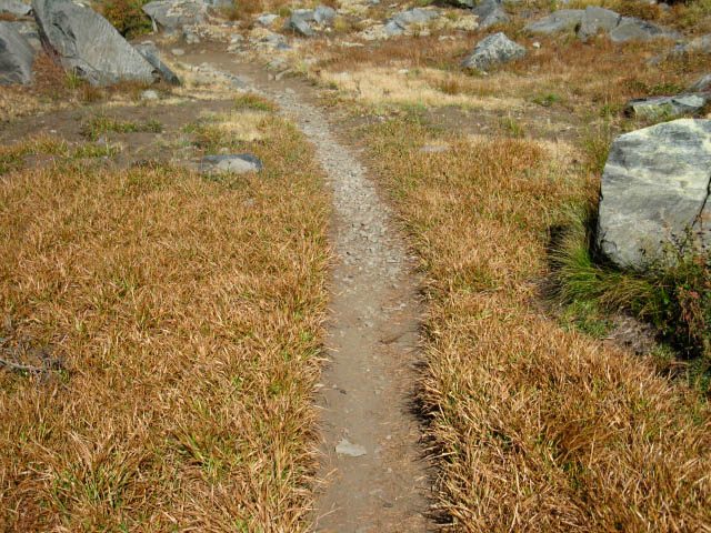 Golden Trail below Dicks Pass in Fall.