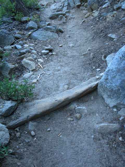 Desolation Trail Wood Trail Work 