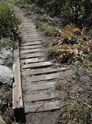 Wood Frame trail to hold soil during Spring