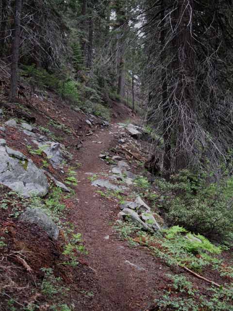 Forest trail to Round Lake out of South Upper Truckee Trailhead.