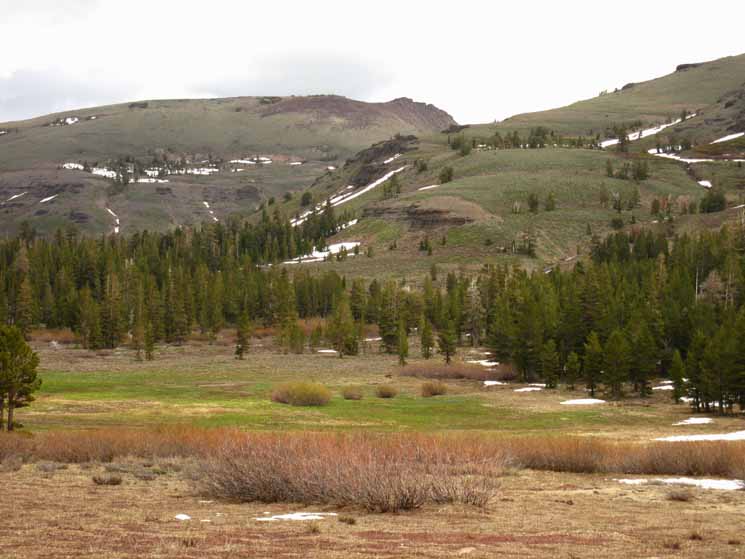 North side of Meiss Meadow