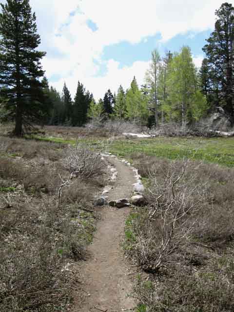 Trail is wetter below Meiss Meadow, where the water runs downmountain towards Lake Tahoe