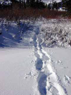 Meiss Meadow trail in wet snow