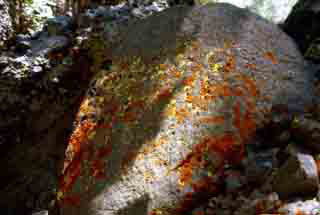 Typical Lichen Rock below Round Lake