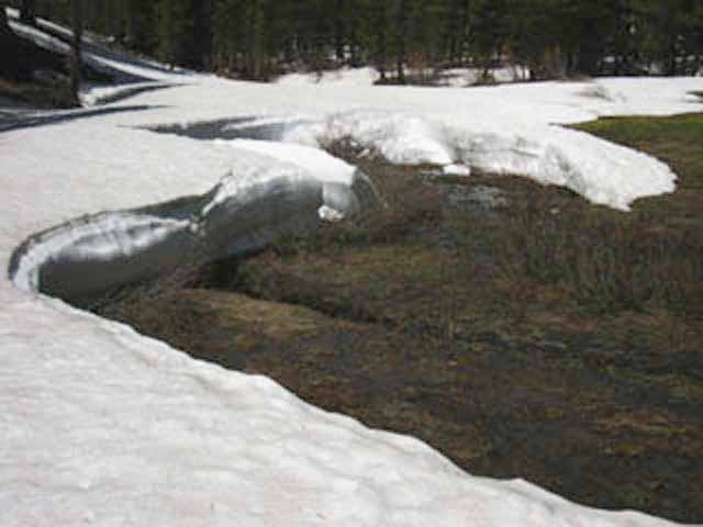 Collapsed snowbanks melting back off of Meiss Meadow.