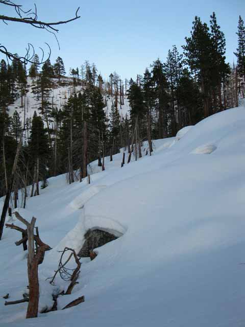 Snow route to Big Meadow from South Upper Truckee.
