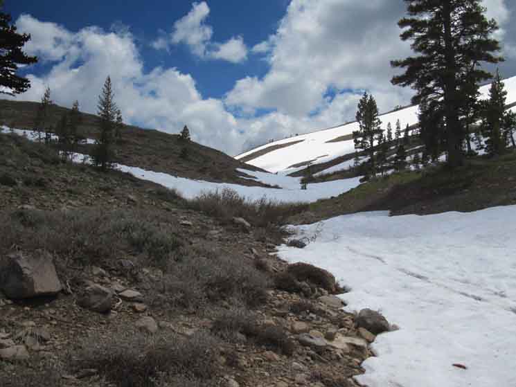 Hiking out of Tahoe Basin through South Upper Truckee headwaters.