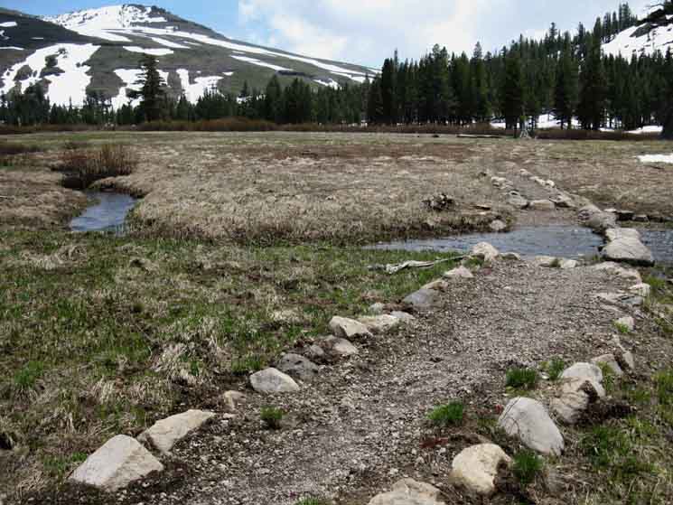 Trail across Meiss Meadow after Spring Thaw, before Spring Bloom.