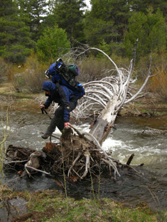 Balance and strength at the Silver King Creek, Spring 2010.